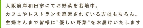 大阪府岸和田市にてお野菜を栽培中。カフェやレストランを経営されている方はもちろん、主婦さんまで皆様に”優しい野菜”をお届けいたします